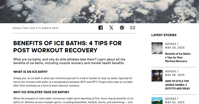 9 services for effective link building 7