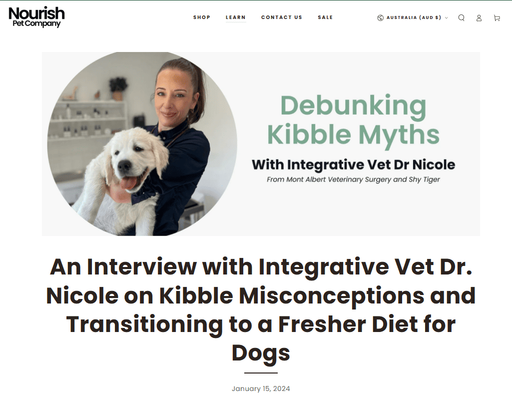 content for link building